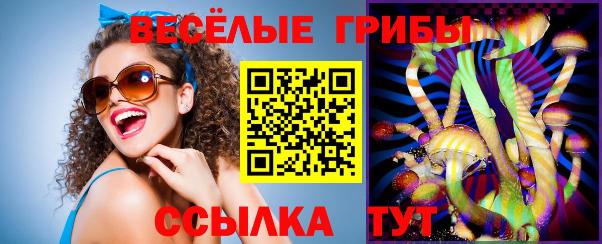 Галлюциногенные грибы MAGIC MUSHROOMS Шатура