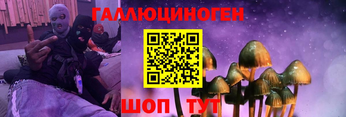 Шатура  Псилоцибиновые грибы Psilocybe  где купить   Вход с VPN 